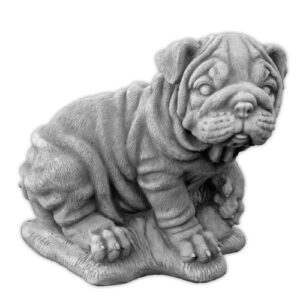 Pies Shar Pei