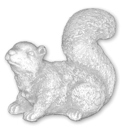 Wiewiórka z Wzorami