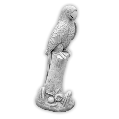 Papuga na Pniu Duża