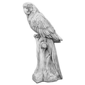 Papuga na Pniu Mniejsza