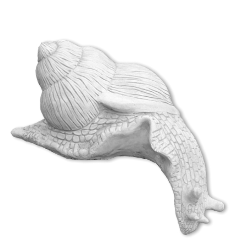 Ślimak Pochylony w Dół