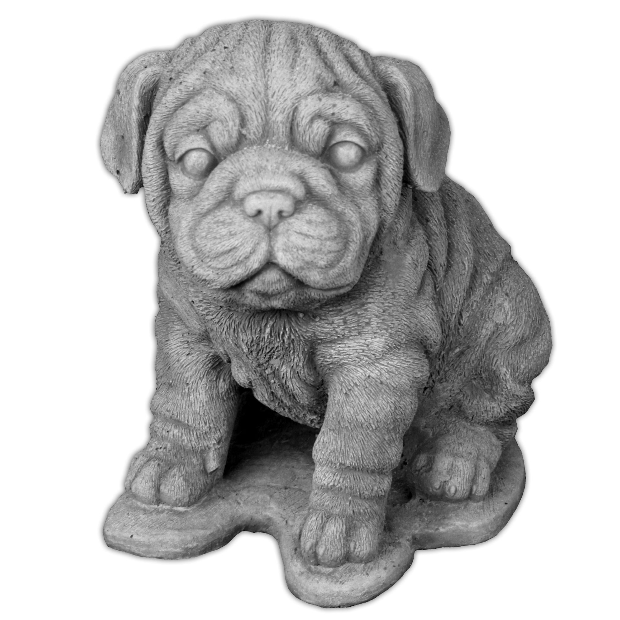 Pies Buldog na Podstawie