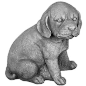 Pies Patrzący w Prawo