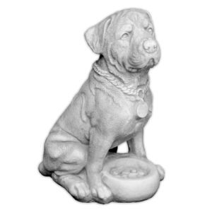 Pies siedzący z miską